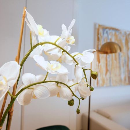 Tirso Suite Madrid Dış mekan fotoğraf