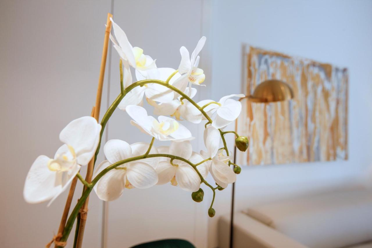 Tirso Suite Madrid Dış mekan fotoğraf